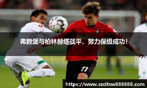 mk体育官网