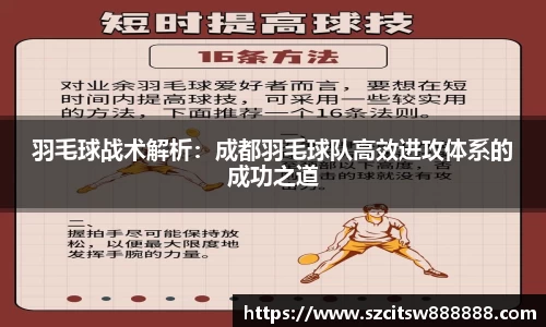 羽毛球战术解析：成都羽毛球队高效进攻体系的成功之道