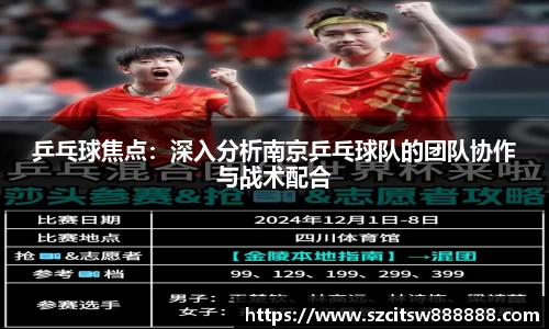 乒乓球焦点：深入分析南京乒乓球队的团队协作与战术配合