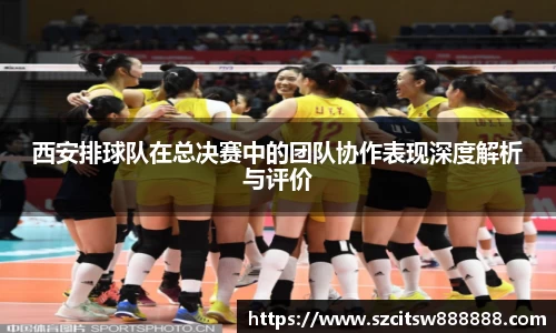 mk体育